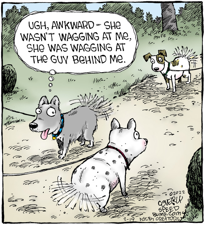 Speed Bump for Feb 19, 2022