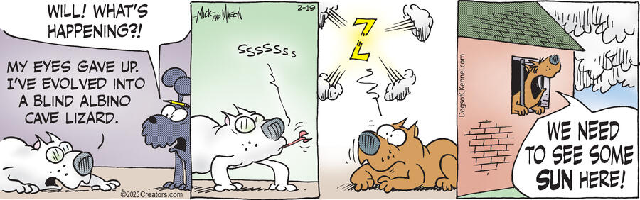 Dogs of C-Kennel for Feb 19, 2025