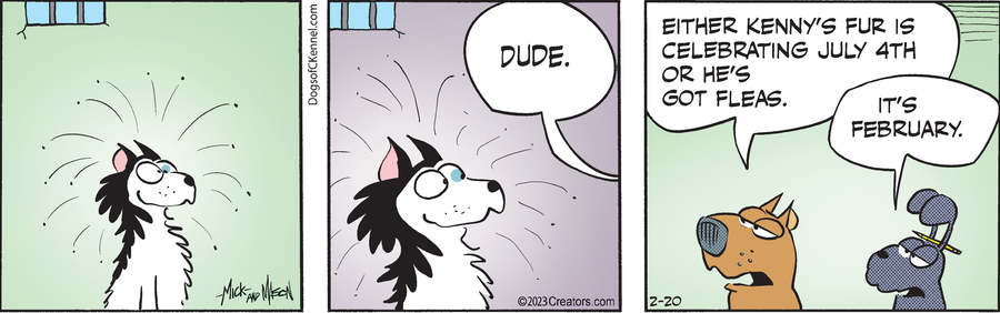 Dogs of C-Kennel for Feb 20, 2023