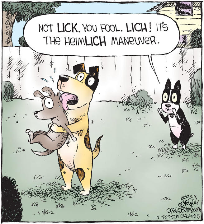 Speed Bump for Feb 20, 2023