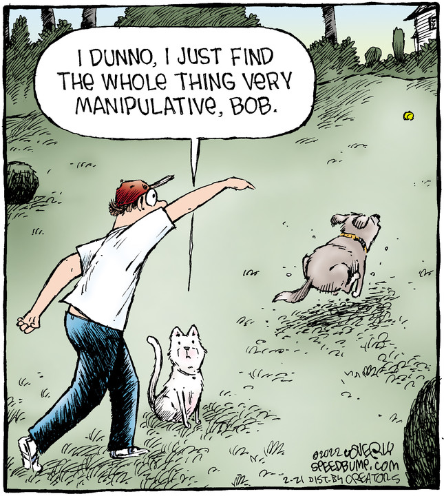 Speed Bump for Feb 21, 2022