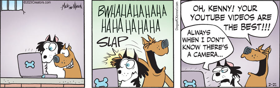 Dogs of C-Kennel for Feb 21, 2023