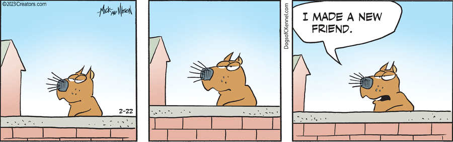 Dogs of C-Kennel for Feb 22, 2023