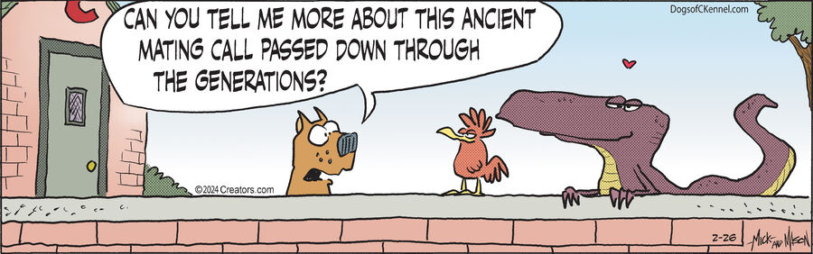 Dogs of C-Kennel for Feb 26, 2024