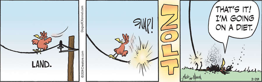 Dogs of C-Kennel for Feb 29, 2024