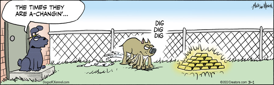Dogs of C-Kennel for Mar 01, 2022