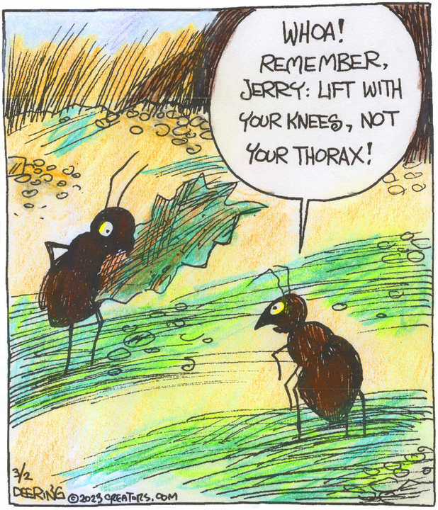 Strange Brew for Mar 02, 2023