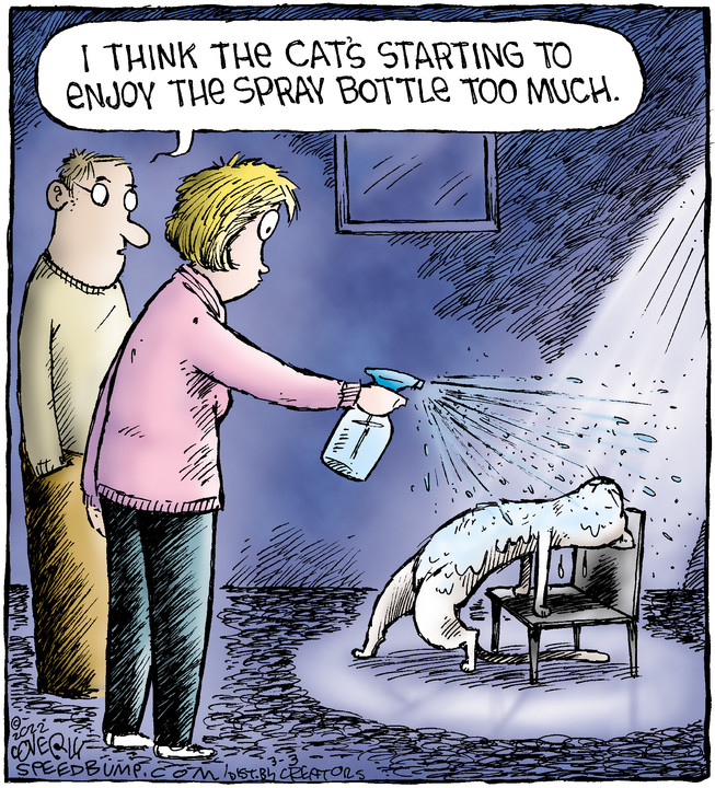 Speed Bump for Mar 03, 2022