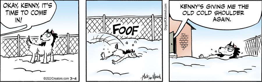 Dogs of C-Kennel for Mar 04, 2022