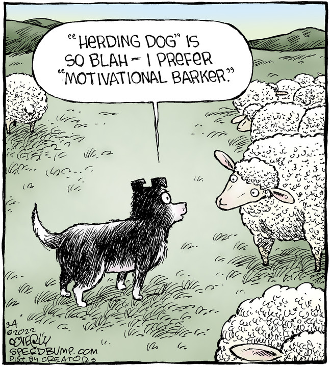 Speed Bump for Mar 04, 2022