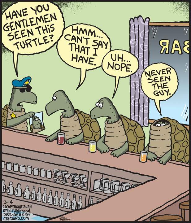 Free Range for Mar 04, 2024