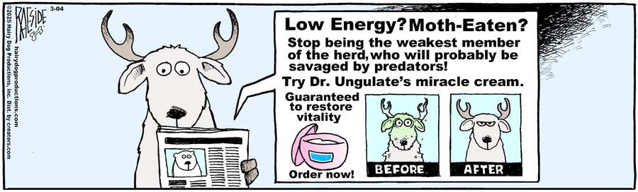 The Other Coast for Mar 04, 2025