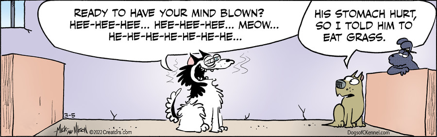 Dogs of C-Kennel for Mar 05, 2022