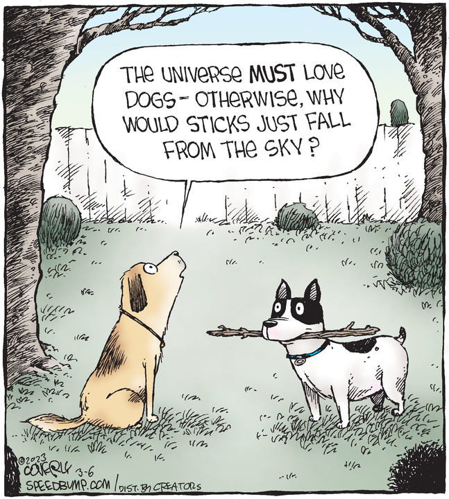 Speed Bump for Mar 06, 2023