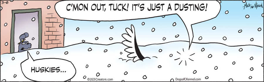 Dogs of C-Kennel for Mar 06, 2023