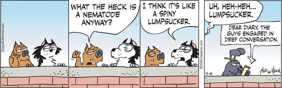 Dogs of C-Kennel for Mar 06, 2024