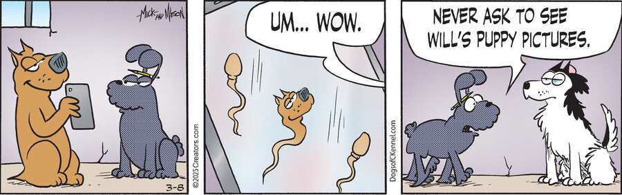 Dogs of C-Kennel for Mar 08, 2025