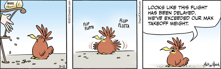 Dogs of C-Kennel for Mar 11, 2022