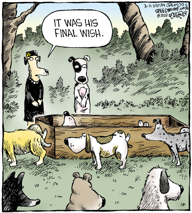 Speed Bump for Mar 11, 2022