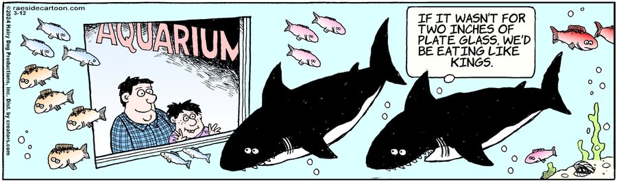 The Other Coast for Mar 12, 2024