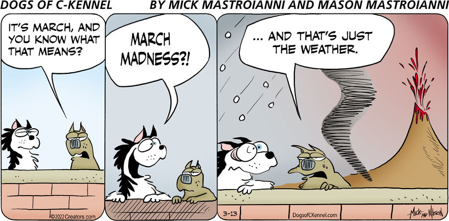 Dogs of C-Kennel for Mar 13, 2022