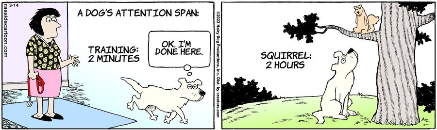 The Other Coast for Mar 14, 2023