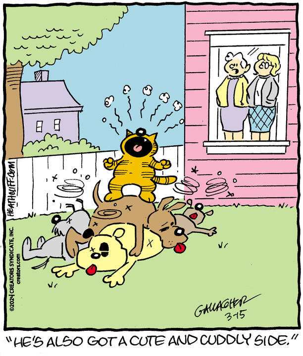 Heathcliff for Mar 15, 2024