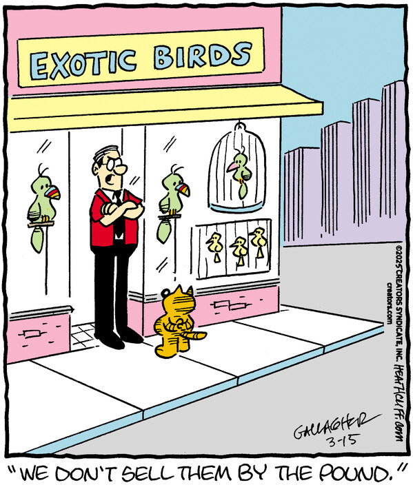 Heathcliff for Mar 15, 2025
