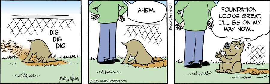 Dogs of C-Kennel for Mar 18, 2022