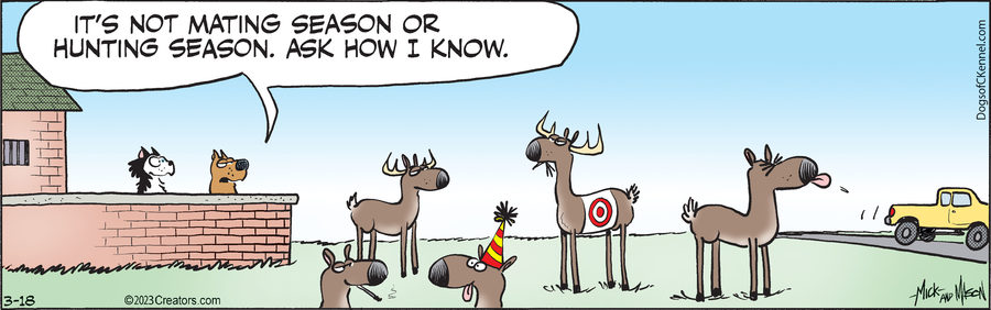 Dogs of C-Kennel for Mar 18, 2023