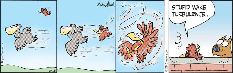 Dogs of C-Kennel for Mar 18, 2024