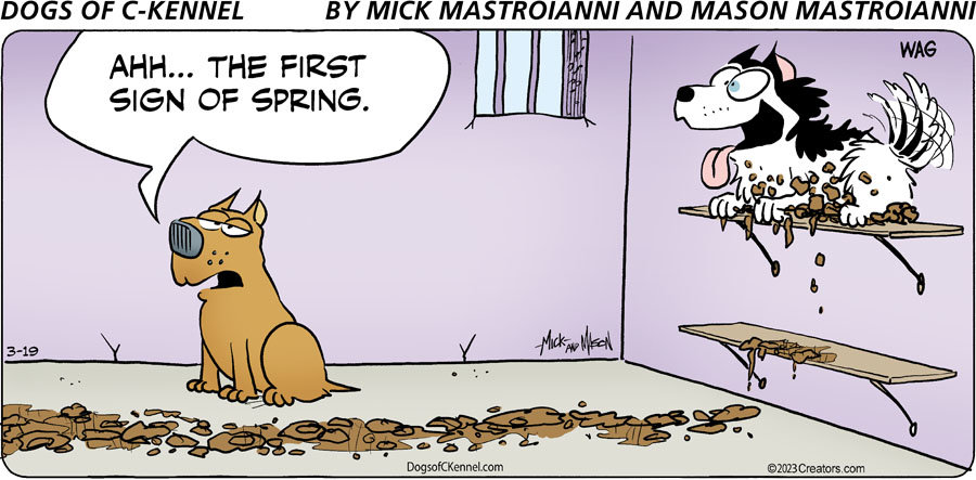 Dogs of C-Kennel for Mar 19, 2023