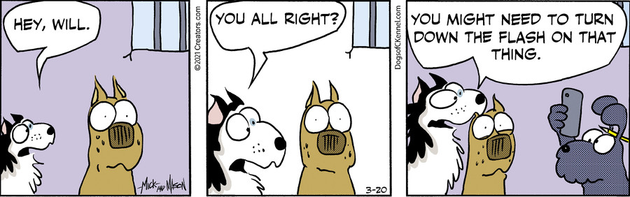 Dogs of C-Kennel for Mar 20, 2021