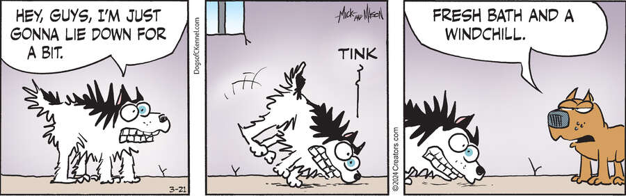 Dogs of C-Kennel for Mar 21, 2024