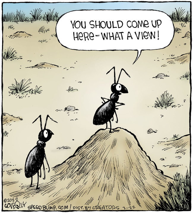 Speed Bump for Mar 22, 2022