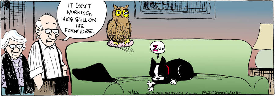 Zack Hill for Mar 22, 2023