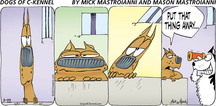 Dogs of C-Kennel for Mar 23, 2025