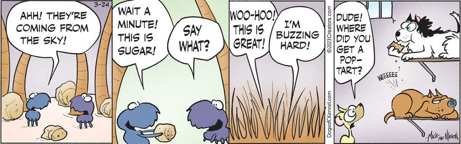 Dogs of C-Kennel for Mar 24, 2023