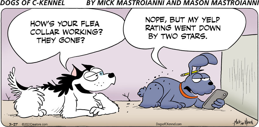 Dogs of C-Kennel for Mar 27, 2022