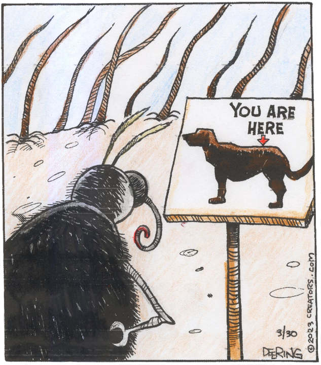 Strange Brew for Mar 30, 2023