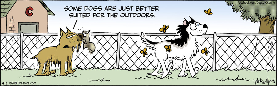 Dogs of C-Kennel for Apr 01, 2021
