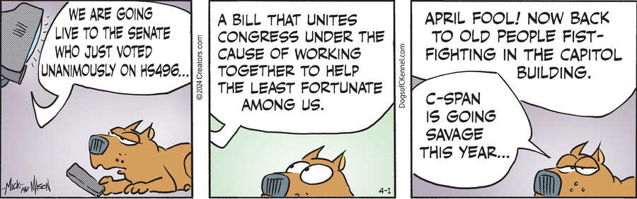 Dogs of C-Kennel for Apr 01, 2024