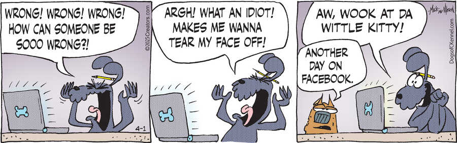 Dogs of C-Kennel for Apr 01, 2025