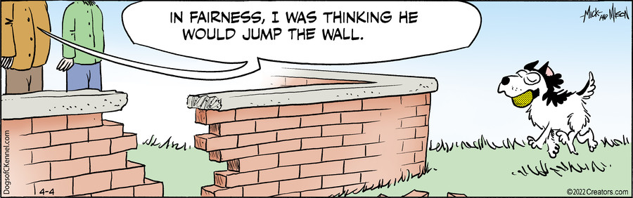 Dogs of C-Kennel for Apr 04, 2022