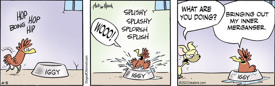 Dogs of C-Kennel for Apr 05, 2022