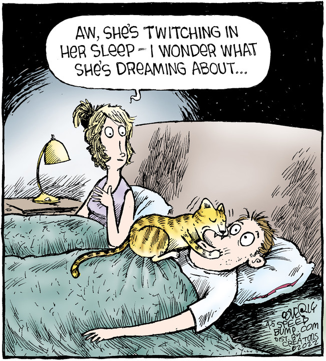 Speed Bump for Apr 05, 2022