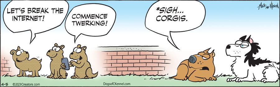 Dogs of C-Kennel for Apr 05, 2023