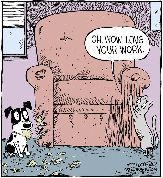 Speed Bump for Apr 06, 2021