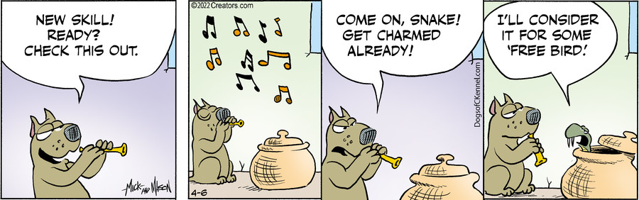 Dogs of C-Kennel for Apr 06, 2022