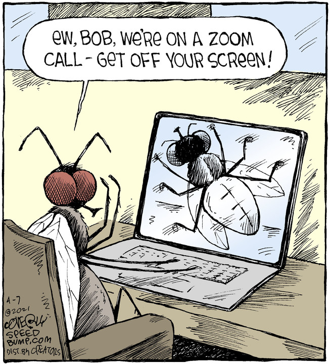 Speed Bump for Apr 07, 2021